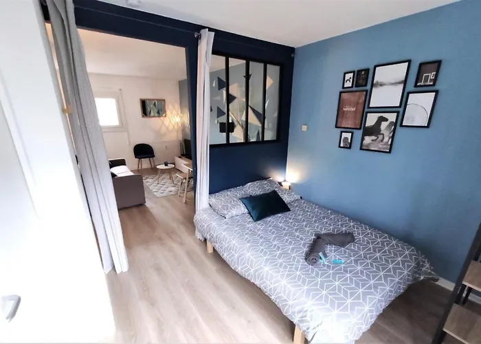 Apartment L'eglantine - Proche Centre - Free Parking - Airbus Toulouse