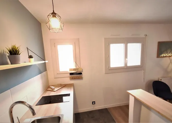 Apartment L'eglantine - Proche Centre - Free Parking - Airbus