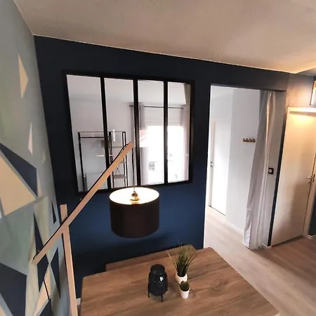 Apartment L'eglantine - Proche Centre - Free Parking - Airbus Toulouse