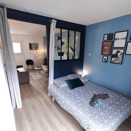 L'eglantine - Proche Centre - Free Parking - Airbus