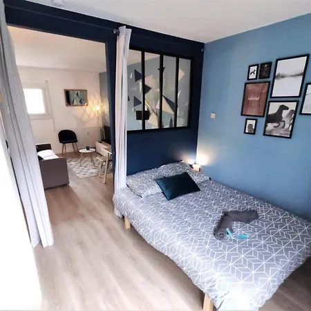 Apartment L'eglantine - Proche Centre - Free Parking - Airbus Toulouse