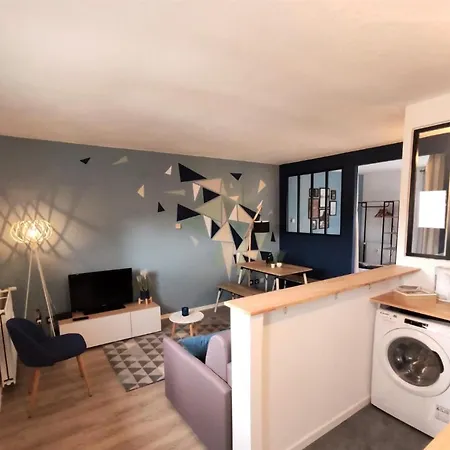 L'eglantine - Proche Centre - Free Parking - Airbus Toulouse