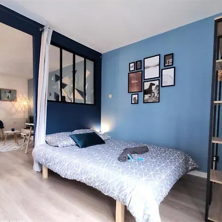 L'eglantine - Proche Centre - Free Parking - Airbus * Toulouse