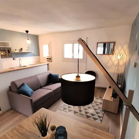 Apartment L'eglantine - Proche Centre - Free Parking - Airbus