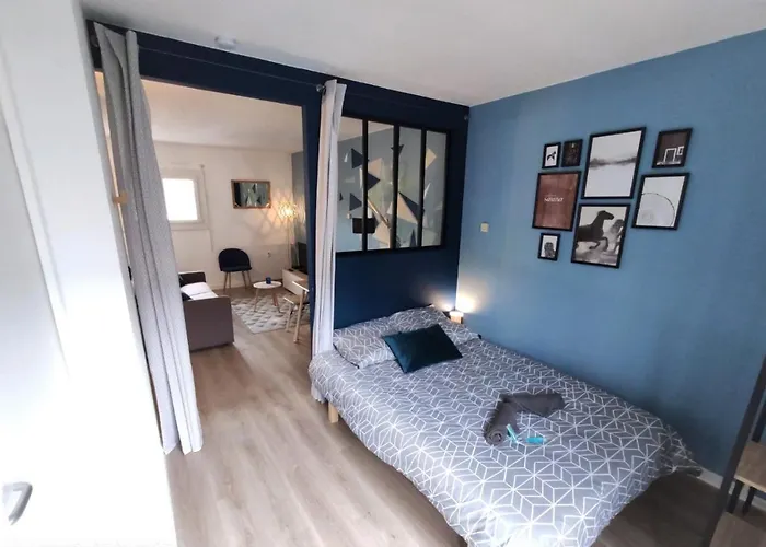 L'eglantine - Proche Centre - Free Parking - Airbus