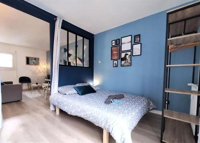 L'eglantine - Proche Centre - Free Parking - Airbus * טולוז