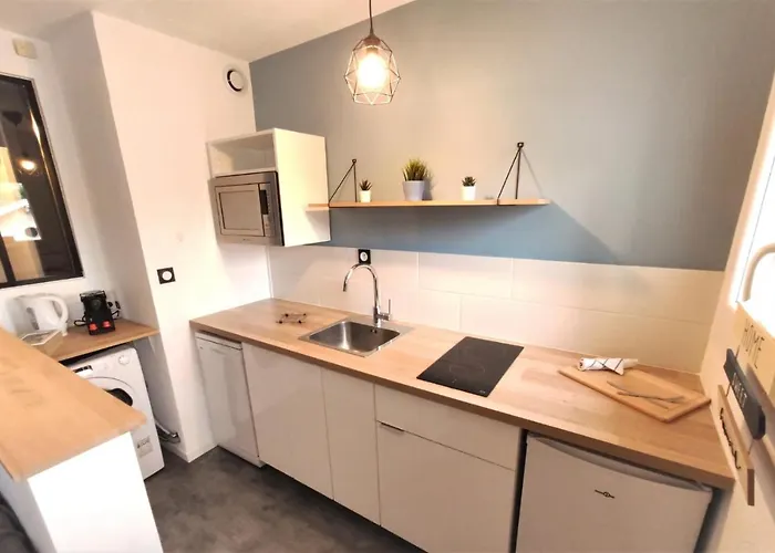 アパート L'eglantine - Proche Centre - Free Parking - Airbus *