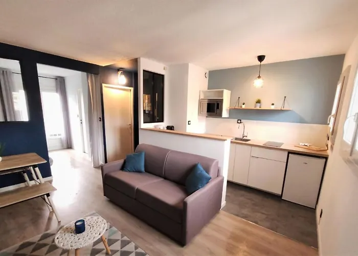 L'eglantine - Proche Centre - Free Parking - Airbus