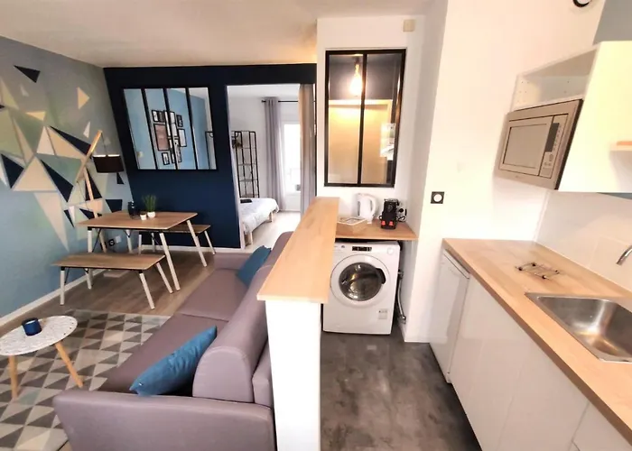 L'eglantine - Proche Centre - Free Parking - Airbus טולוז