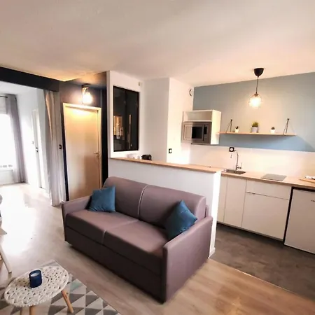 L'eglantine - Proche Centre - Free Parking - Airbus